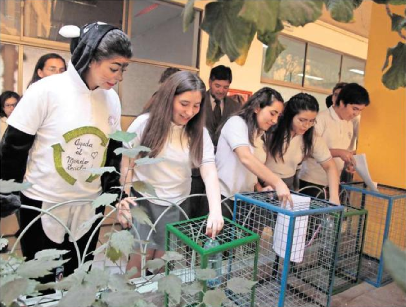Liceo Academia Iquique implementa iniciativa de reciclaje