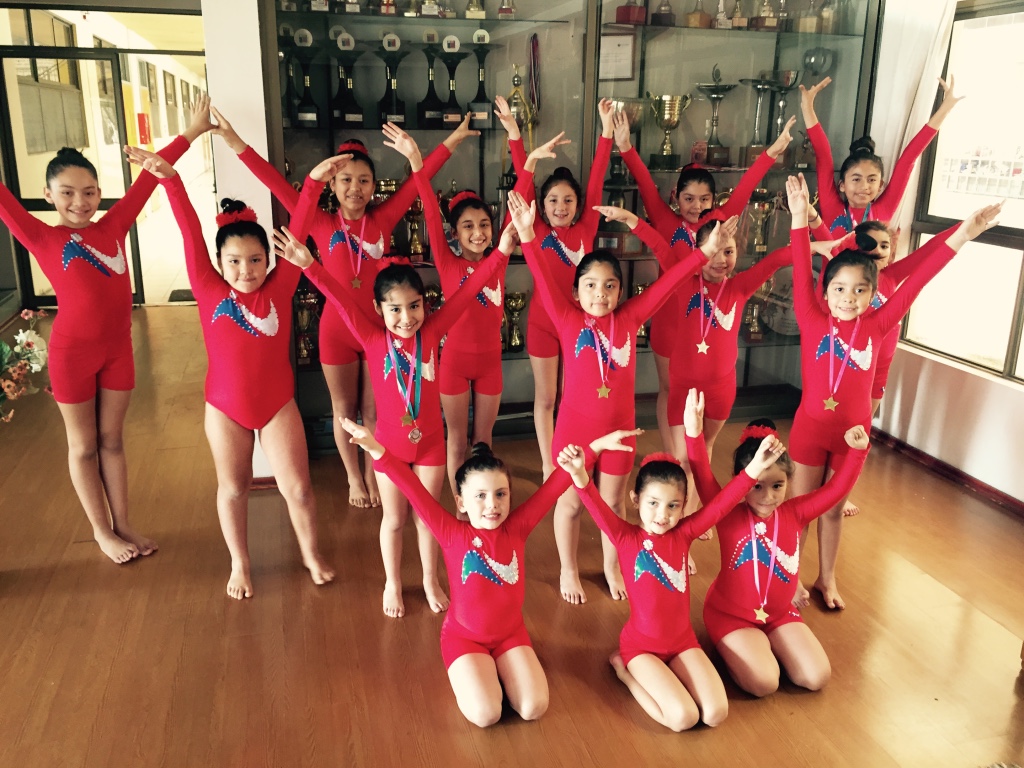 Campeonato Regional de Gimnasia Artística